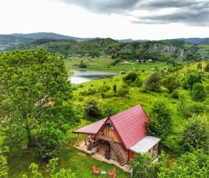 新瓦罗什Log cabin Uvac (Vikendica Saponjic)的享有红色屋顶房屋的顶部景色