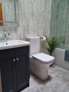 DarnickShunters Cottage的一间带卫生间、水槽和植物的浴室