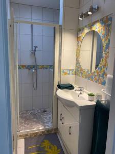 拉特斯特德布赫Appartement relaxant au bassin的带淋浴、盥洗盆和镜子的浴室