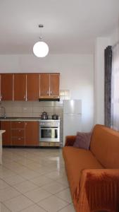 地拉那Deni's Family Apartment in New BLVD的带沙发的客厅和厨房