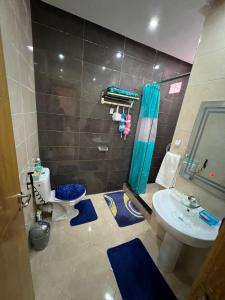 盖尼特拉Tajhiz alliance darna的浴室配有卫生间、盥洗盆和淋浴。