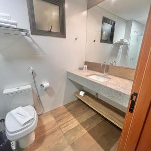 皮雷诺波利斯Resort Quinta Sta Bárbara的一间带水槽、卫生间和镜子的浴室
