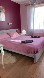 斯伽尔达Bella Vita brīvdienu māja的一间卧室配有一张紫色墙壁和窗户的床