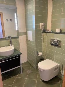拉夫达private apartments in Emerald的一间带卫生间和水槽的浴室