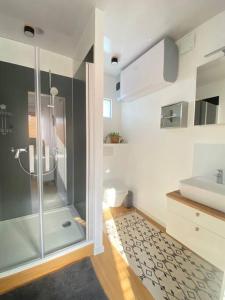 巴特法灵博斯特尔Tiny Haus Straußenblick 2的带淋浴和盥洗盆的浴室