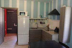 BranikApartment Dandelion的小厨房配有冰箱和微波炉。