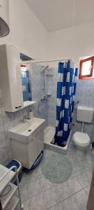 佩特坎内Apartments Morović的一间带水槽、卫生间和淋浴的浴室