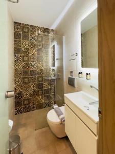 欧拉努波利斯Yulia Luxury Apartment的一间带卫生间、水槽和镜子的浴室