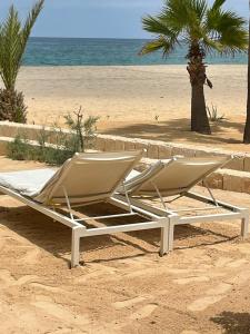 CabeçadasVilla Alfredo Marchetti Nº13 A Suites on the Beach, Praia de Chaves, Boa Vista的两把躺椅坐在海边