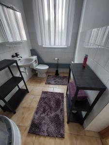 多克西Penzion U Radnice的一间带水槽、卫生间和桌子的浴室