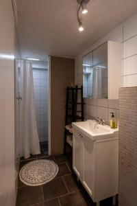 哈纳弗约德尔Lovely one bedroom apartment in Hafnarfjordur的浴室配有盥洗盆和带镜子的淋浴