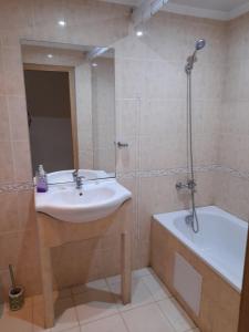 埃勒尼特Negresko Family Apartment的浴室配有盥洗盆和浴缸。