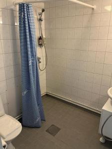 萨翁林纳Norppa Resort的带淋浴帘和卫生间的浴室
