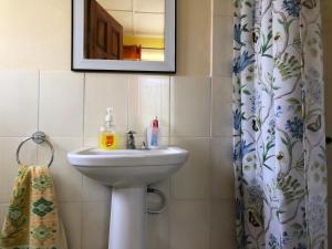 特雷热比奇Nat’s place的浴室设有水槽、镜子和浴帘