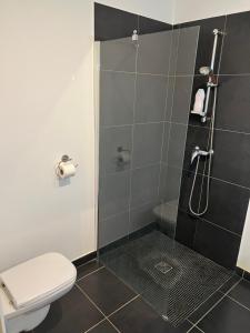 巴斯蒂亚T2 avec très grande terrasse的带淋浴和卫生间的浴室