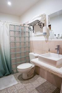 格拉纳达Hotel Boutique Mosaico的一间带卫生间和水槽的浴室