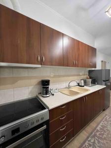 塞萨洛尼基Sunny Rooftop House的厨房配有木制橱柜、炉灶和水槽。
