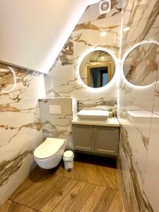 帕兰加D&A Apartamentai的一间带卫生间、水槽和镜子的浴室