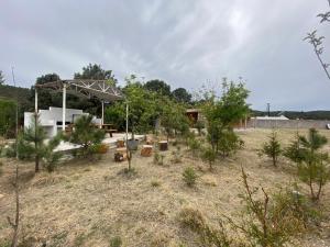 克雷尔Cabañas Rochivo Ranch的种有树木的花园,在田野上设有凉亭
