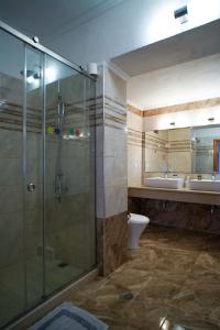 阿齐欧斯·贡多斯Kostas Beach Apartments的带淋浴、卫生间和盥洗盆的浴室