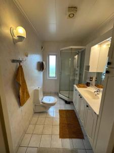 Fantastisk eiendom med flott utsikt的浴室配有卫生间、盥洗盆和淋浴。