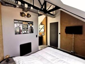 鲁昂Logement Industriel & Atypique的一间卧室配有一张床和一台平面电视
