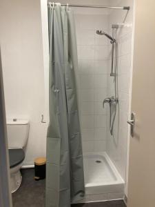 阿维尼翁Appart'Hotel - Gare TGV - Courtine - Confluence - 407的带淋浴和卫生间的浴室