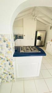 Cap EstateVilla Ocean Blu的客房内的厨房配有炉灶烤箱