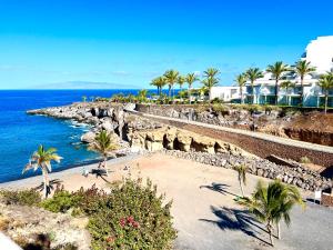 阿罗纳Luxury apartment in Ocean Garden Playa Paraiso的享有棕榈树海滩和大海的景色