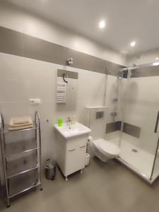 斯图托沃Apartament Posejdon的浴室配有卫生间、盥洗盆和淋浴。