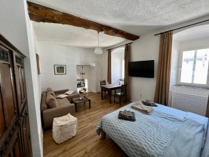 布兰肯海姆Apartment Georgstor im Posthalterhof mit Sauna的一间卧室配有一张床,客厅配有沙发