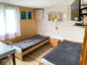 SmolnikBieszczady Smolnik Cottage的小房间设有两张床和窗户