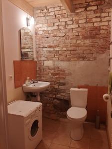 尤卡尔内Brīvdienu māja Ievkalni的一间带卫生间和水槽的浴室