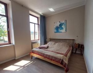 德累斯顿Schöne Wohnung in Dresden - Neustadt的一间卧室设有一张床和两个窗户。