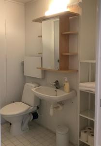 赫尔辛基Cosy two rooms apartment in Helsinki的一间带卫生间和水槽的浴室