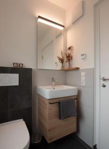 坎波图雷斯Casa Pina Campo Tures的一间带水槽、卫生间和镜子的浴室