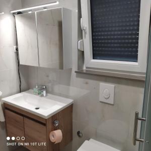扎博里克Apartment T&T Žaborić的一间带水槽、镜子和卫生间的浴室