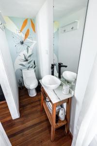 Colonia ChapadmalalRefugio santa isabel的一间带水槽、卫生间和镜子的浴室