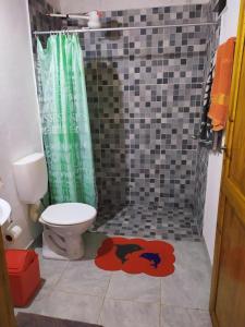 ApóstolesDepartamentos Sato的带淋浴、卫生间和浴帘的浴室
