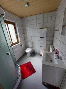 MittelndorfFerienhaus -Alte Feuerwehr- Mittelndorf的带淋浴、盥洗盆和卫生间的浴室
