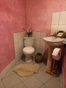 奥克萨潘帕Biosfera Lodge tipi para 3 personas的一间带卫生间和水槽的浴室