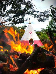 奥克萨潘帕Biosfera Lodge tipi para 3 personas的背景中带有金字塔的火