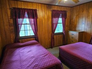 乔治湖金鹰山林小屋的一间卧室设有两张床和两个窗户。