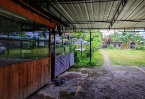 棉兰Acirasa Homestay Medan的享有带大窗户的建筑的外部景色