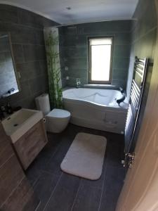 SaadetTurkish Retreat的带浴缸、卫生间和盥洗盆的浴室