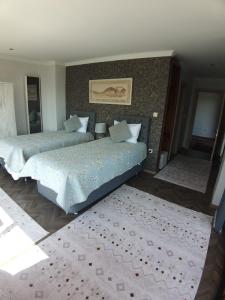 SaadetTurkish Retreat的一间带两张床的卧室和地毯