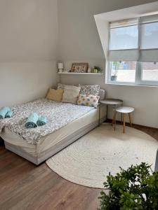 布尔加斯Dockview atelier的一间卧室配有一张带地毯的床和窗户