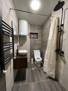梅斯蒂亚Hotel Eden的一间带卫生间和水槽的浴室