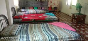 姆鲁Mulu Helena Homestay的一间带两张床和一张沙发的卧室