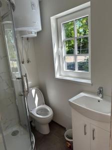 尤尔马拉Melluži tiny house的一间带卫生间、水槽和窗户的浴室